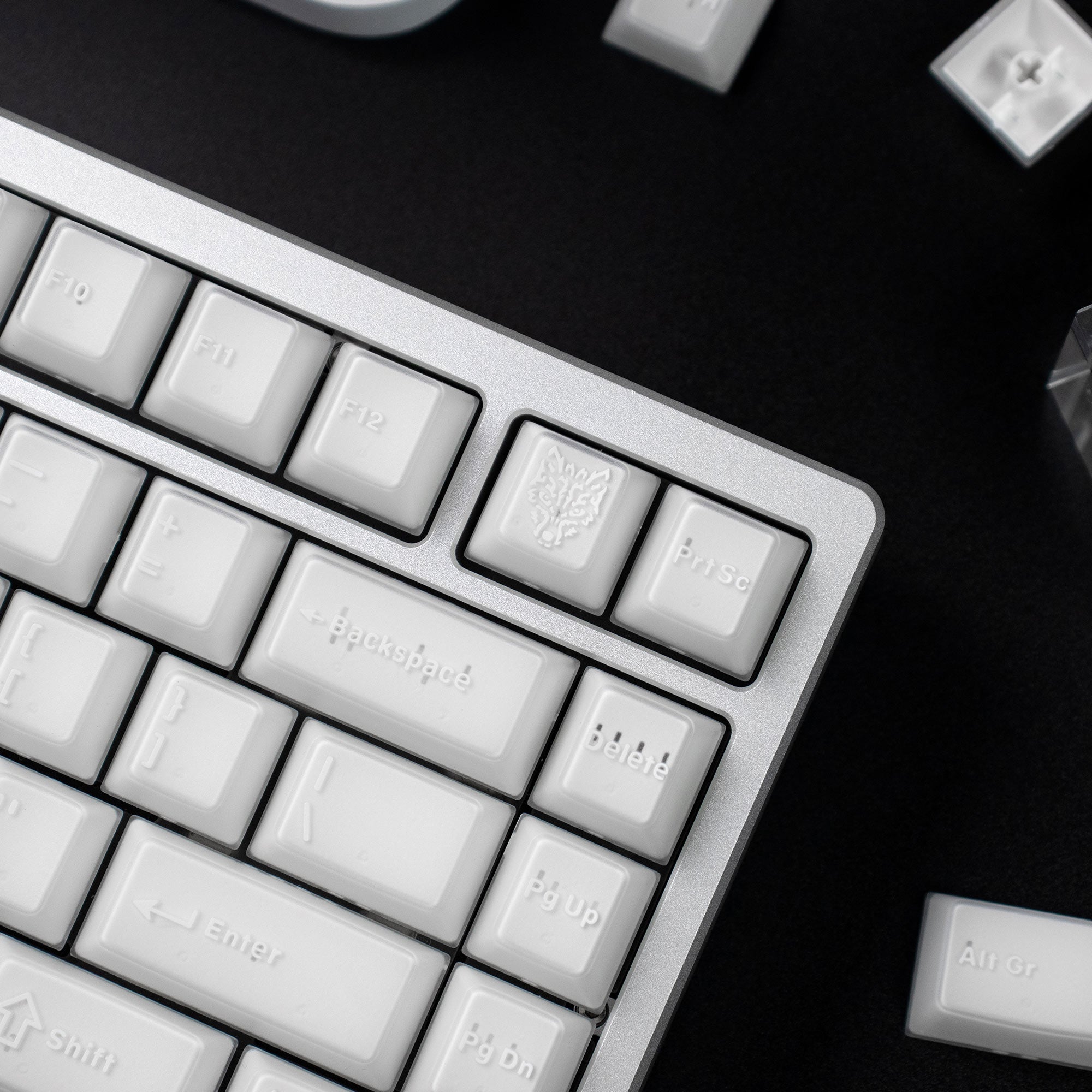 X-ray Semi-Translucent ABS Double-Shot OEM Profile Keycaps