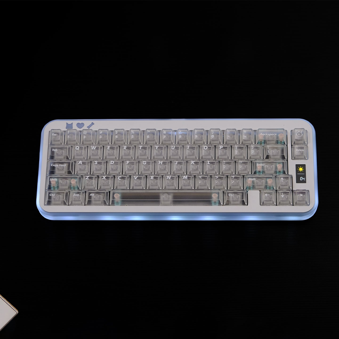 Forsted translucent Cherry Profile PC Keycap