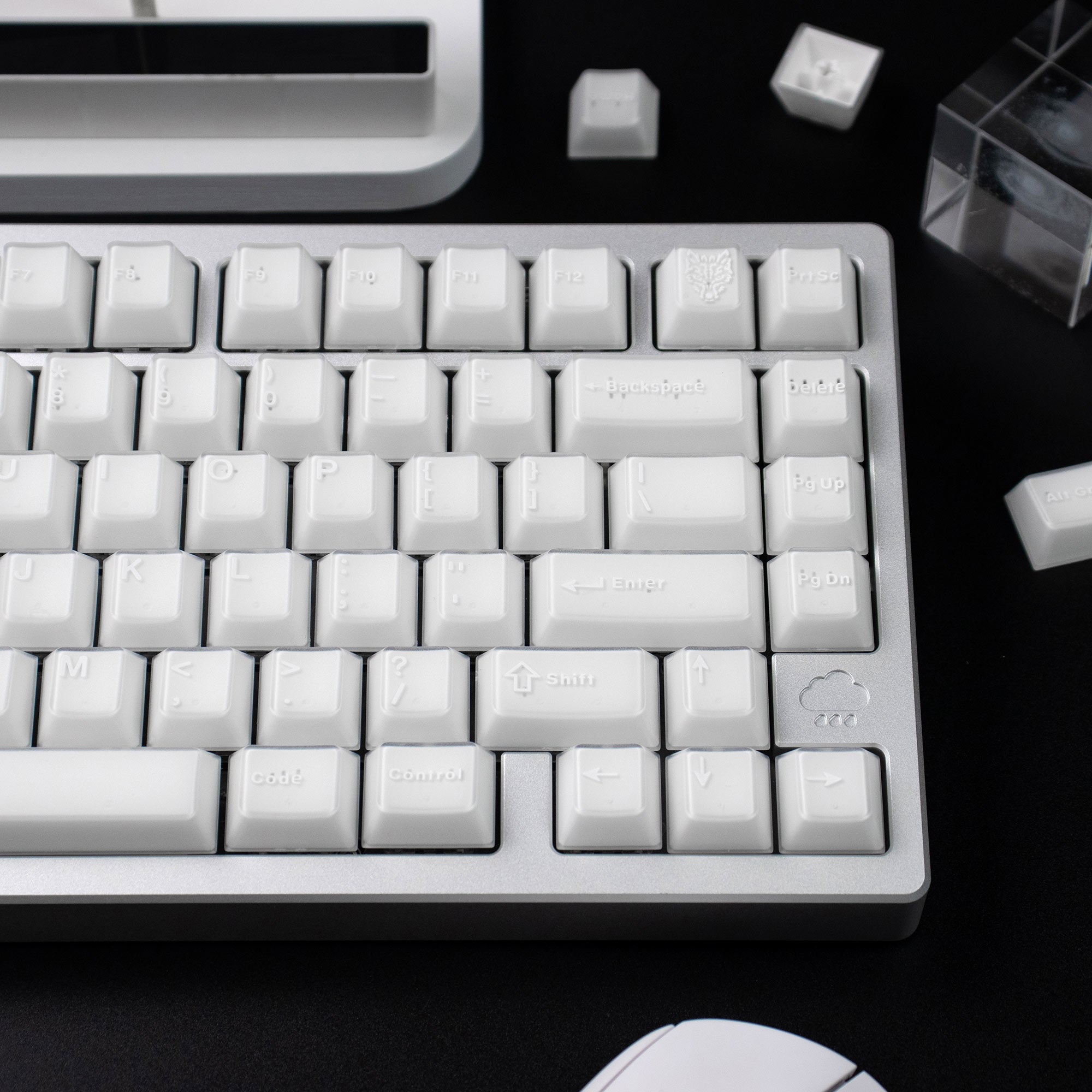 X-ray Semi-Translucent ABS Double-Shot OEM Profile Keycaps