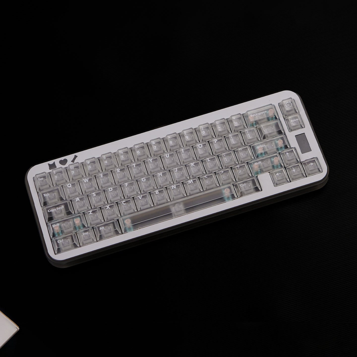 Forsted translucent Cherry Profile PC Keycap