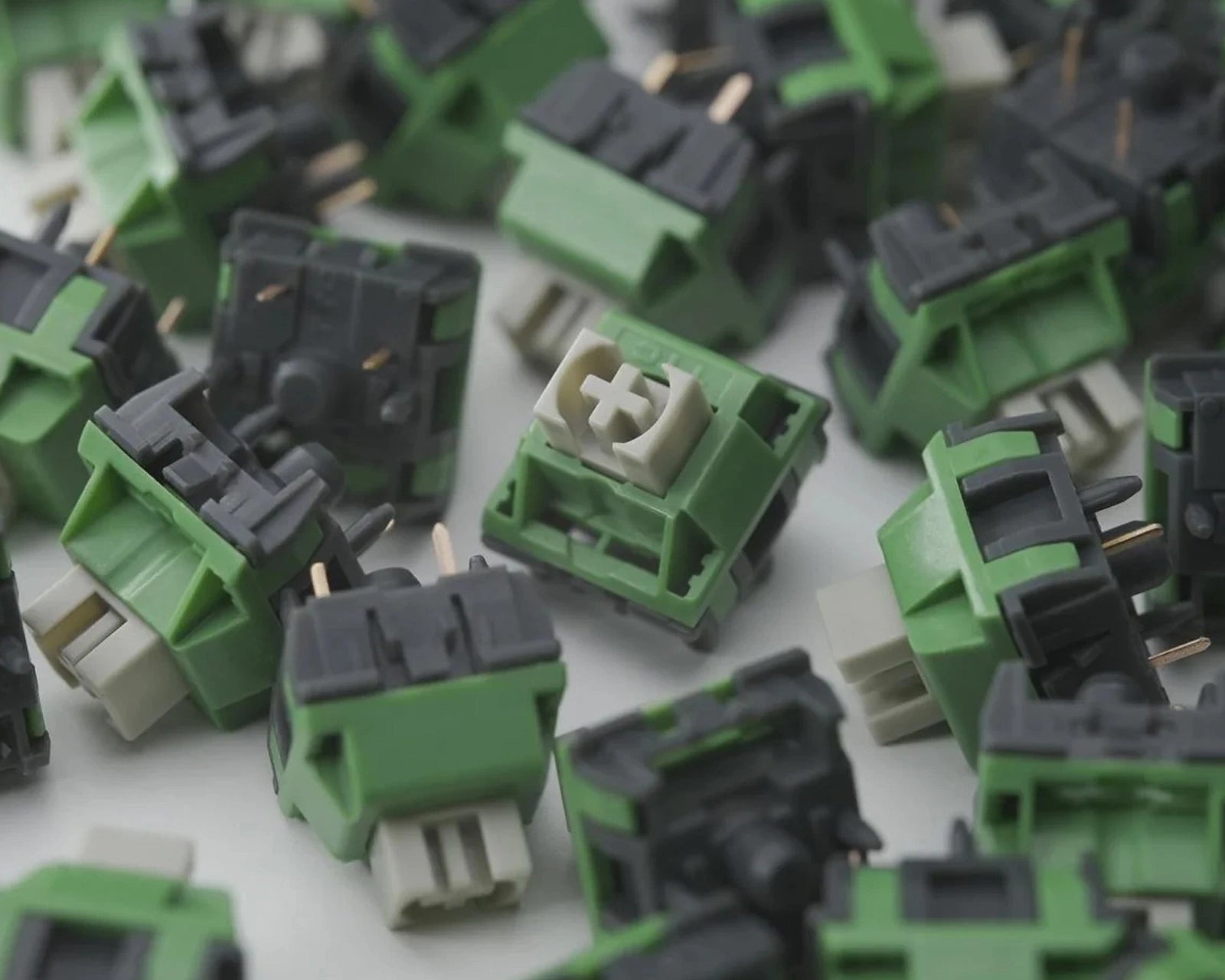 TTC Wild Mechanical Switches