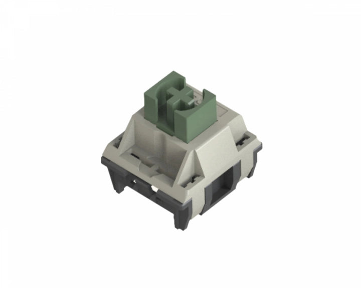 TTC Wild Mechanical Switches