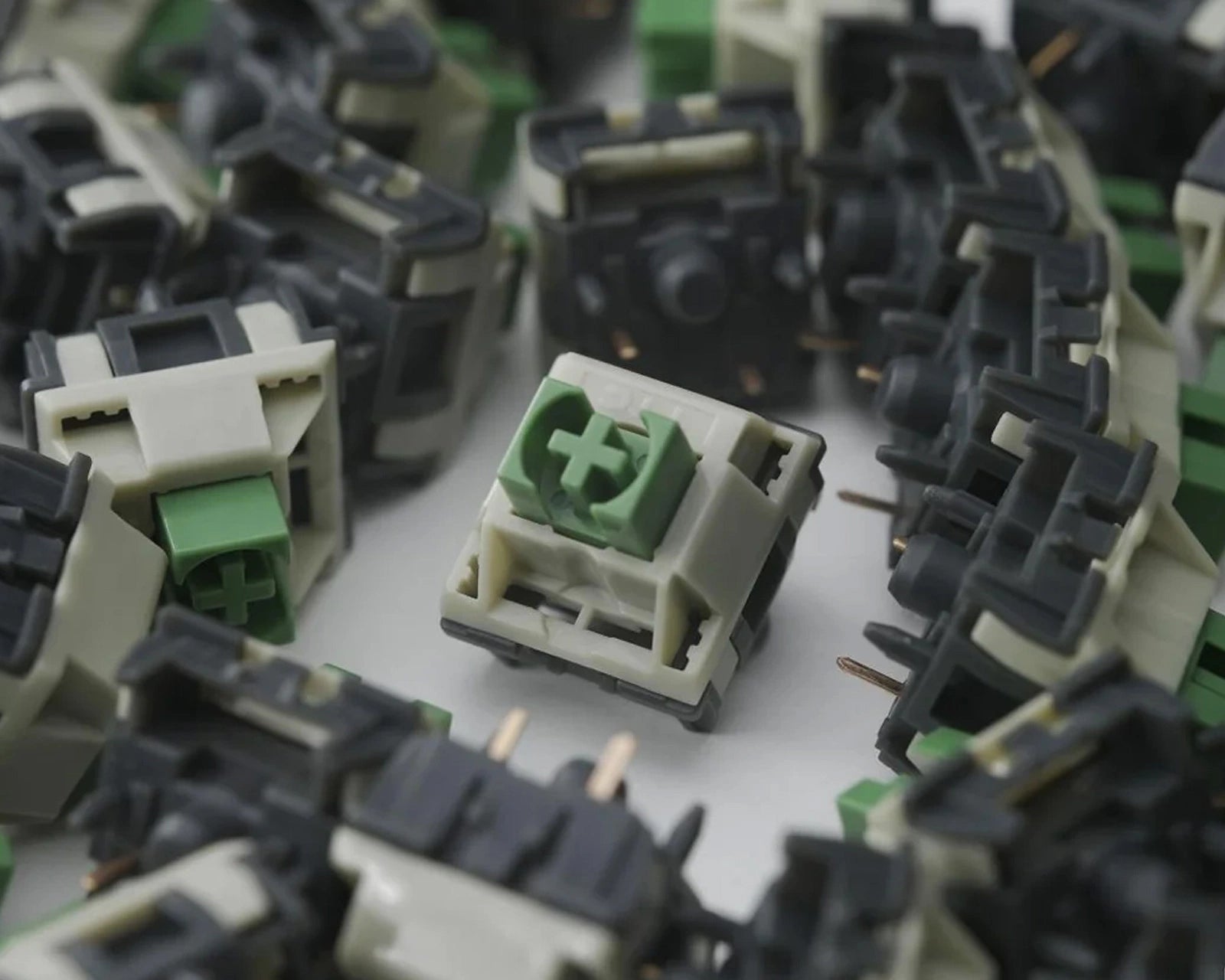 TTC Wild Mechanical Switches