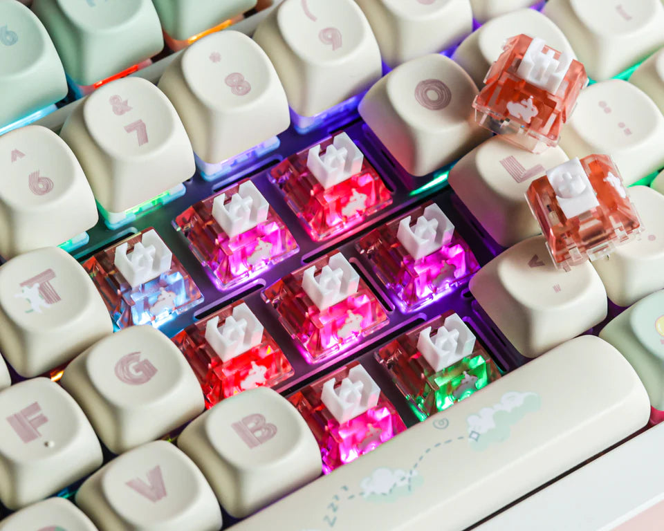 TTC Rabbit RGB Edition Mechanical Switches