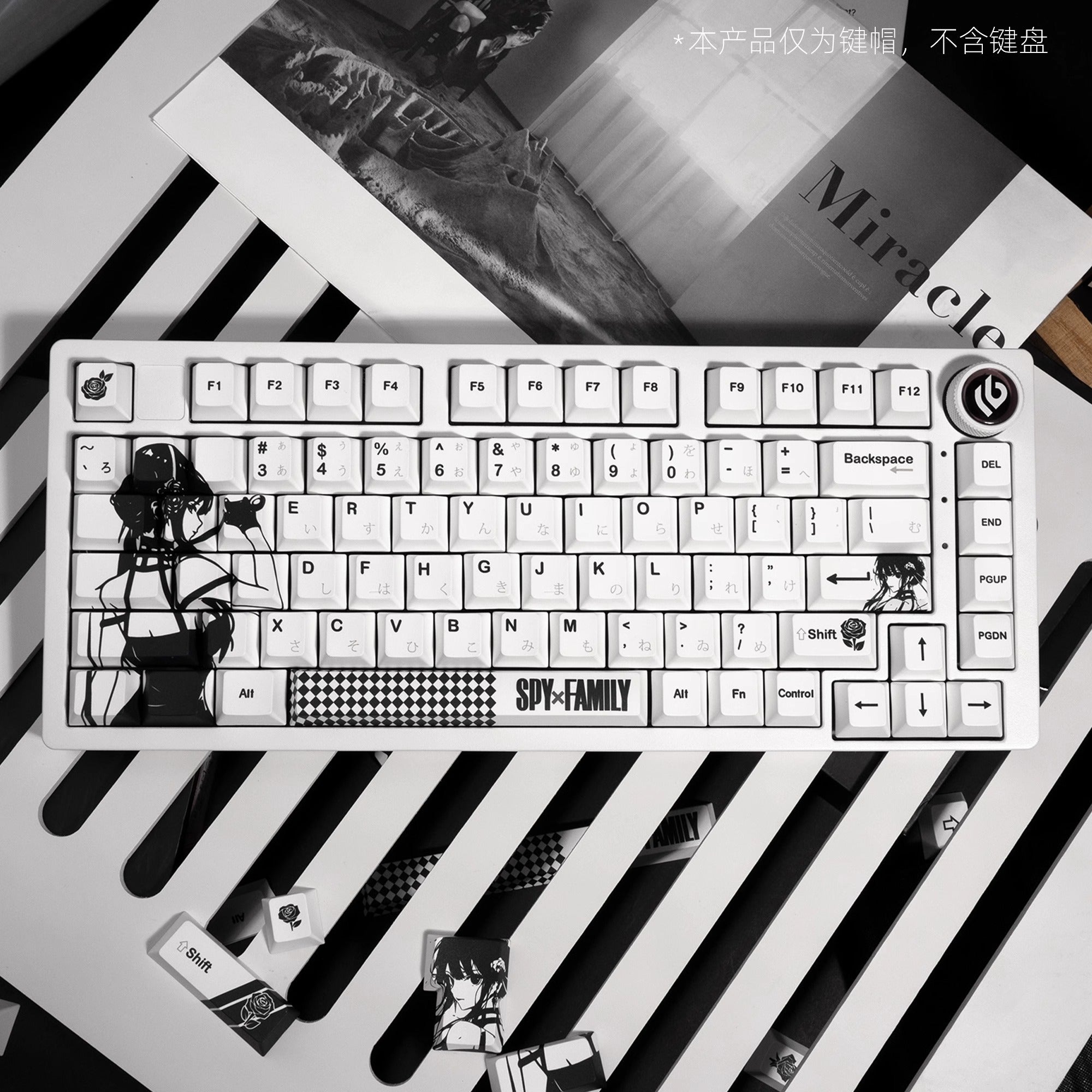 XVX SPY FAMILY Cherry Profile 5-sided Dye-Sub PBT Keycap