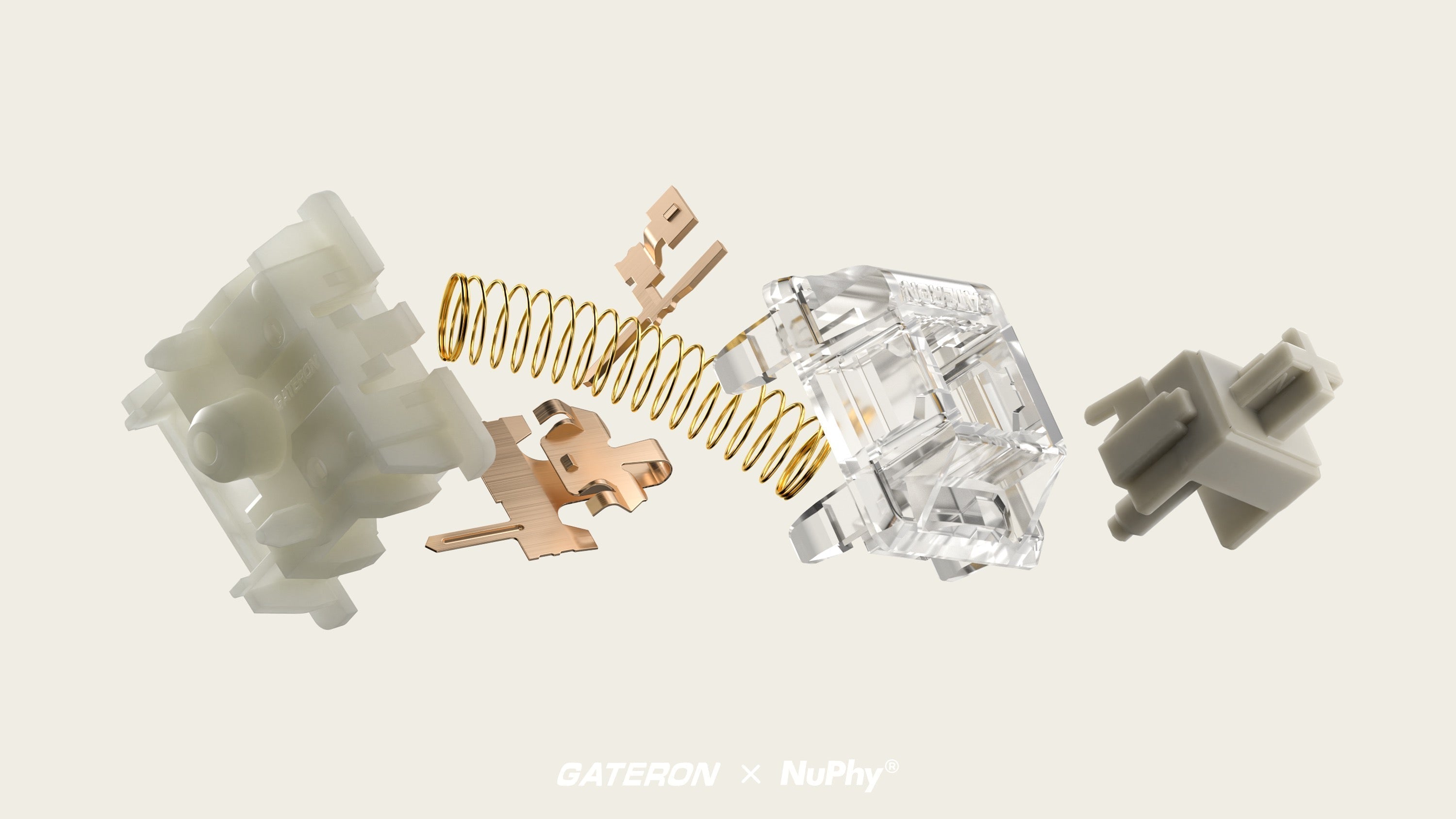 NuPhy x Gateron Baby Raccoon Switches - 110pcs/Set