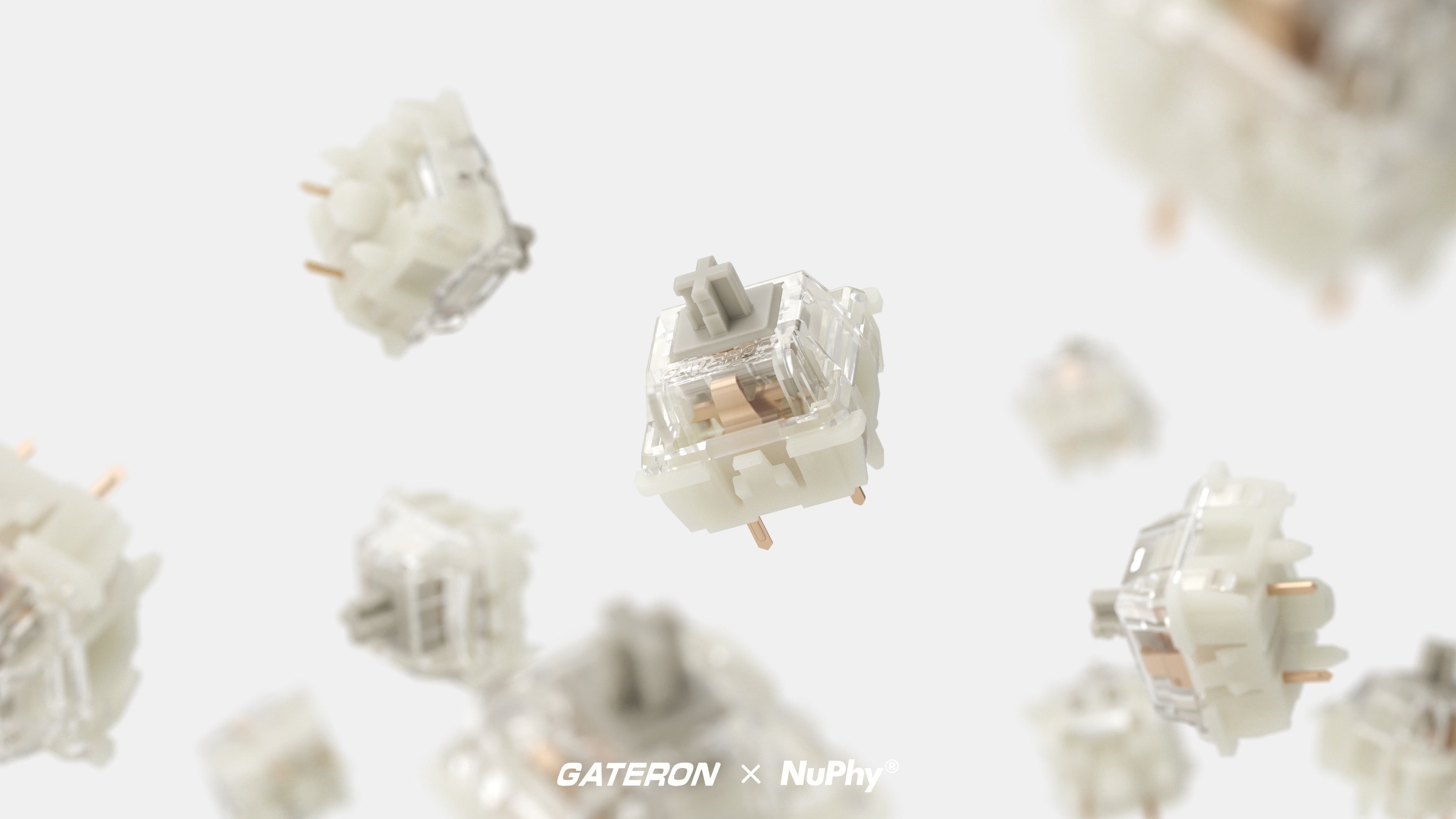 NuPhy x Gateron Baby Raccoon Switches - 110pcs/Set