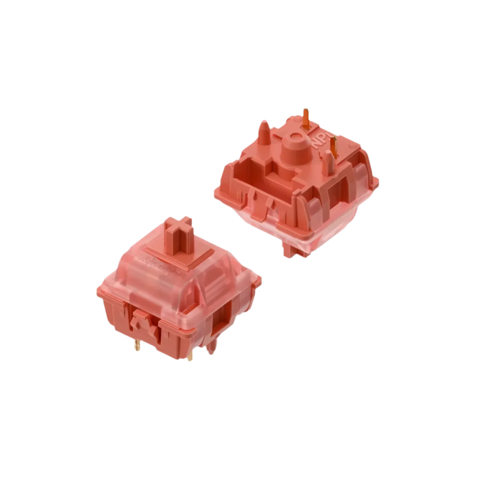 NuPhy Raspberry Switches